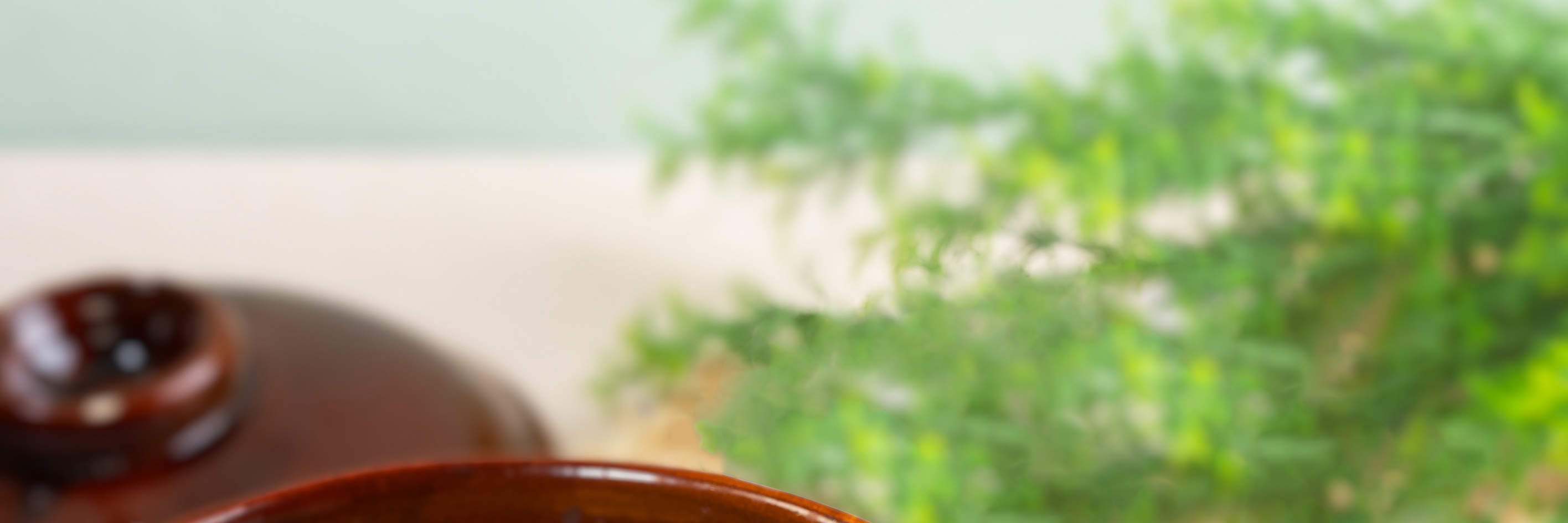 安娣瑪萊｜東南亞菜｜尖沙咀